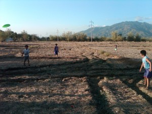IMG00237-20100320-1722