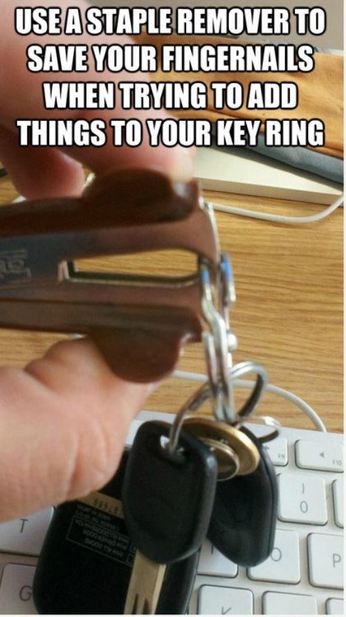 staple-key